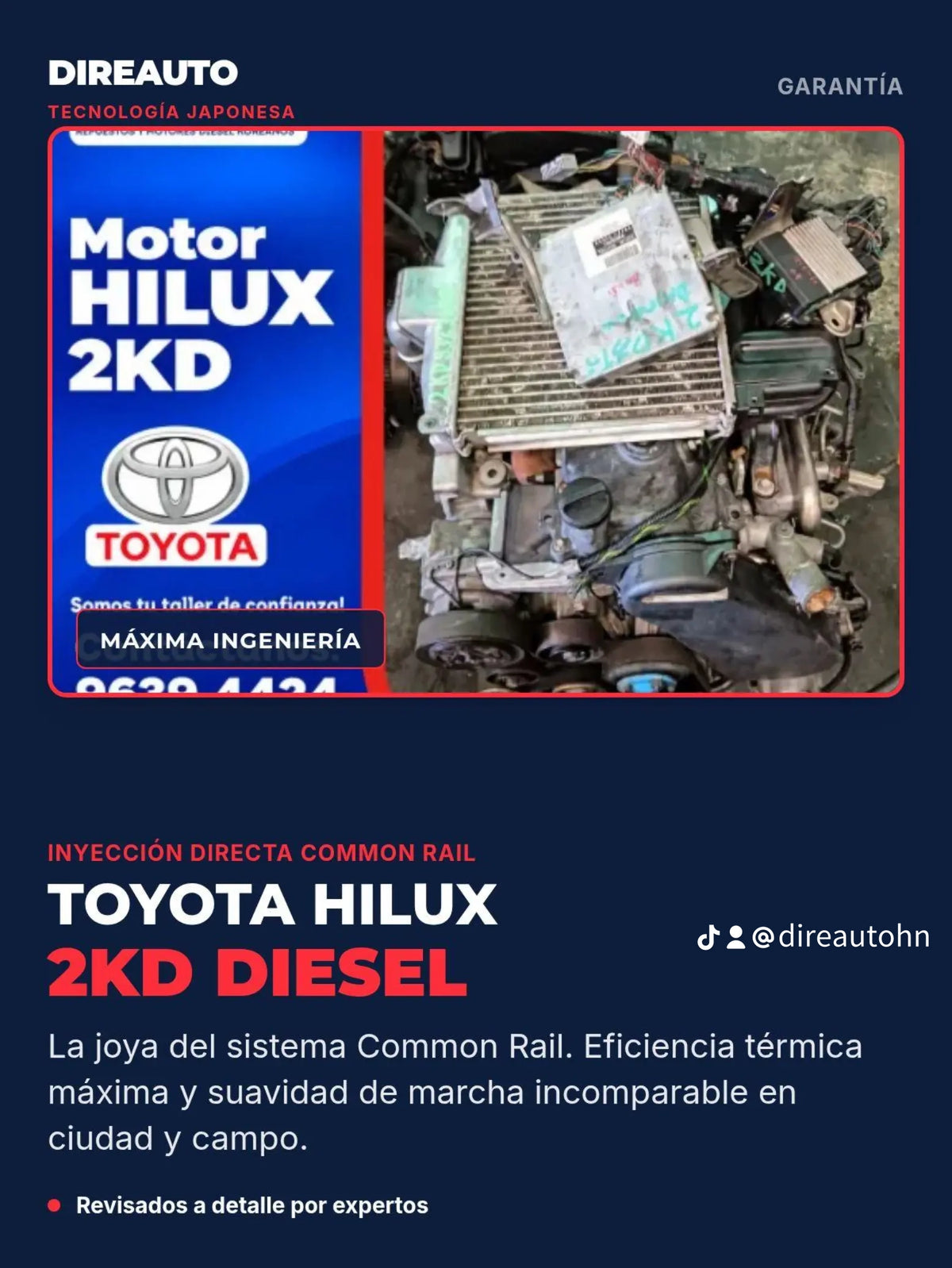 MOTORES
