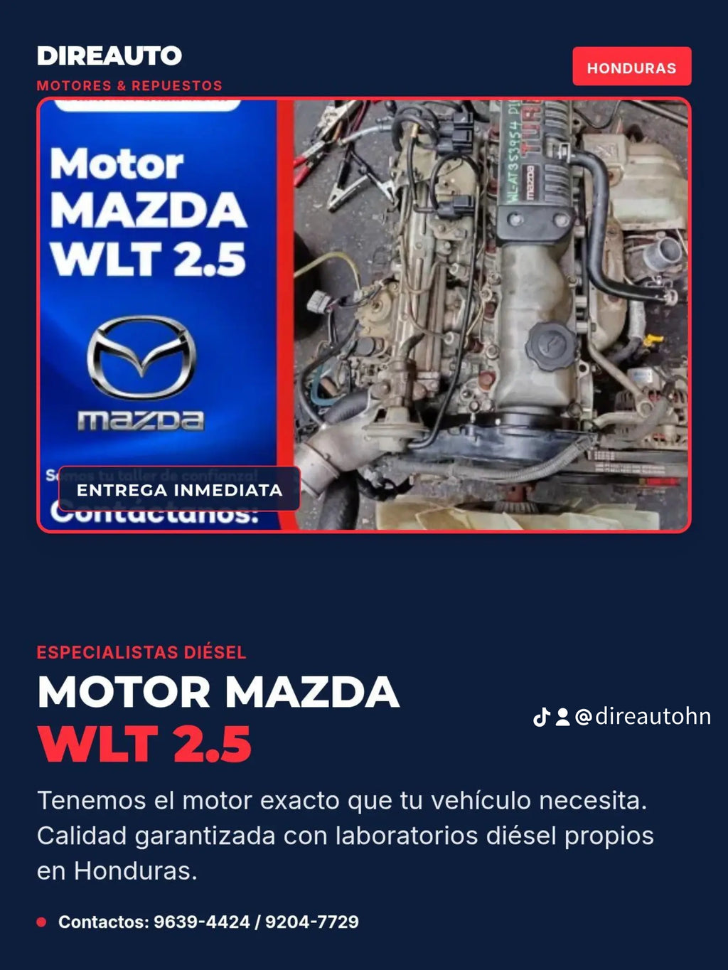 MOTORES