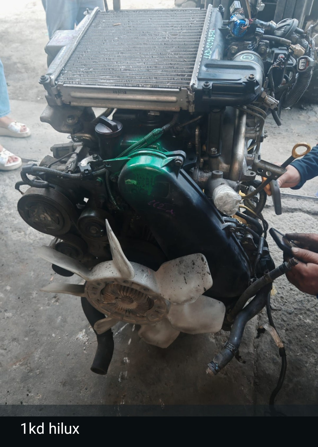 MOTORES